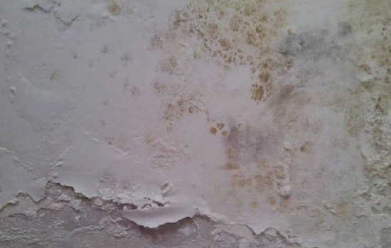 墻面發(fā)霉要怎么處理？