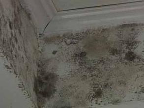 裝修時(shí)做好三處防水 讓家遠(yuǎn)離“霉運(yùn)”